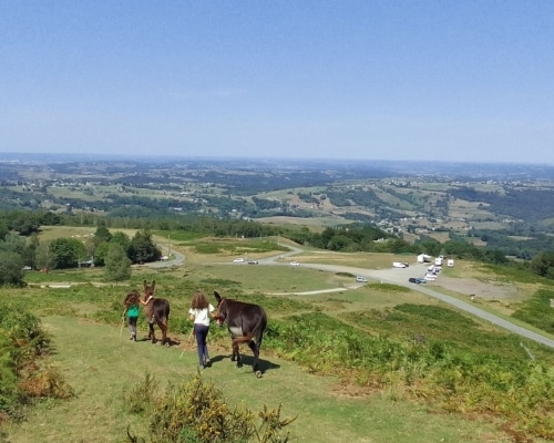 Départ des randonnées des ânes des nuages au col des Palomières.