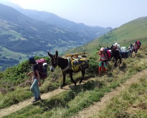 Colonie de vacance avec des ânes en montagne pour un séjour itinérant. Il y a plusieurs enfants et 2 ânes qui portent les charges. (nourriture, tentes, piquets, gamelles, ...)