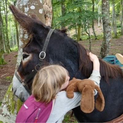 Câlin à un âne